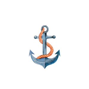 What's The SHIP Website Logo